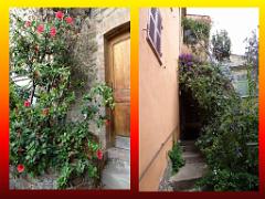 183 D25 BORMES LES MIMOSAS 3_000024
